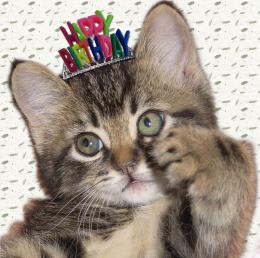 birthdaykitten